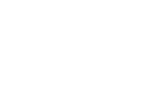 Hotel Délibáb Hajdúszoboszló